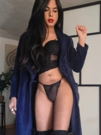 Pam, travesti em Porto 911021015